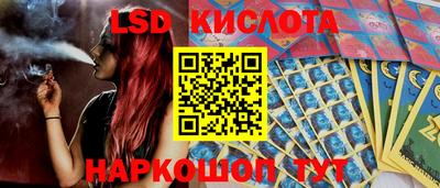гидропоника Краснодар