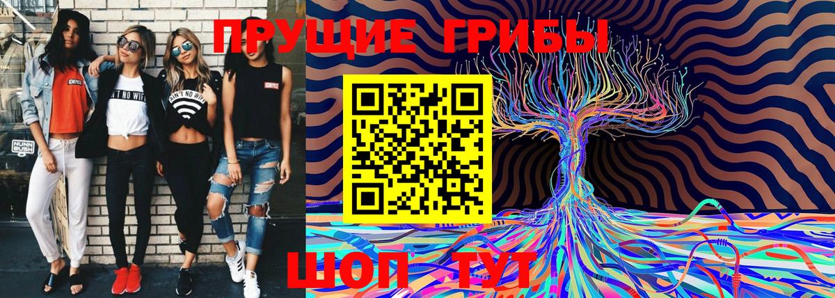 Галлюциногенные грибы мухоморы  Вход с VPN  Кохма 